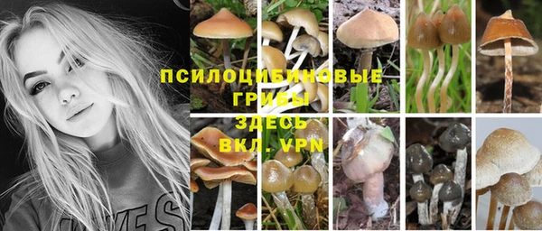 прущая мука Армянск
