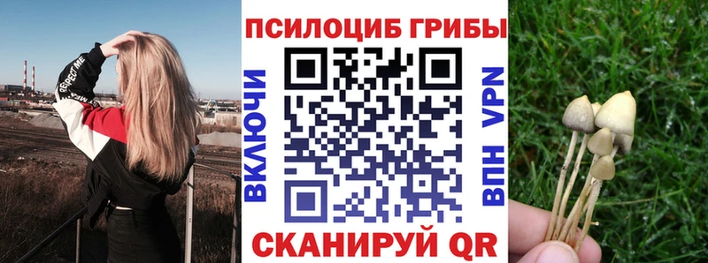 Галлюциногенные грибы Psilocybe  Пролетарск 